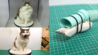 簡単自作掃除機バリカンで猫の毛球症を予防！長めのセルフサマーカット（ノルウェージャンフォレストキャット） [upl. by Elicec]