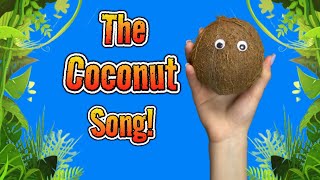 The Coconut Song A Catchy Song About Coconuts [upl. by Boote]