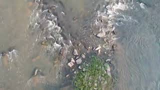 quotBirds Eye Discovery Drone Exploration of Rappahannock Rivers Indian Fishing Weirquot [upl. by Yebot966]