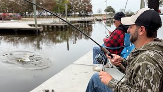 Catching GIANTS from a ROADSIDE Bayou CATCH AND COOK [upl. by Aowda]