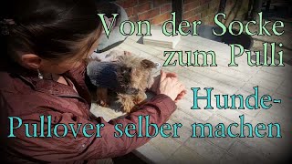 Hundemantel selber nähen  von der Socke zum Pulli  Hundemantel stricken  Hundepulli Hundepullover [upl. by Amadis]