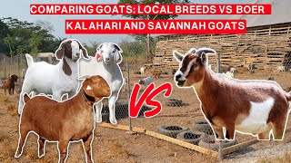 WHAT ARE THE BEST BREEDS OF GOATS TO START WITH IN AFRICA [upl. by Sandon772]