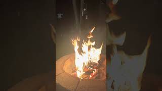 Sitting by the fire I always have a pocket full of peanuts maineybynature nature subscribe yt [upl. by Zia]