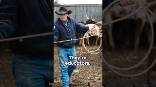 The Real Montana Livestock Agents shorts yellowstone montana cattle lawenforcement [upl. by Nananne]