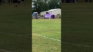 Touchdown 34 🏈 East Lawrence vs Danville  2023  8U [upl. by Etteve635]