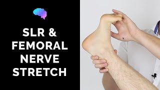 Straight Leg Raise amp Femoral Nerve Stretch Test  OSCE Guide  Clip  UKMLA  CPSA [upl. by Hedva]