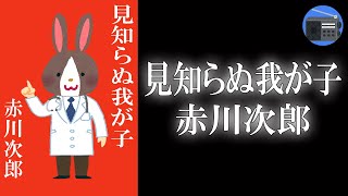 【朗読】「見知らぬ我が子」この子は、あなたの子です！ 人気作家の元に現れた突然の訪問者！？【ミステリー・サスペンス／赤川次郎】 [upl. by Delgado]