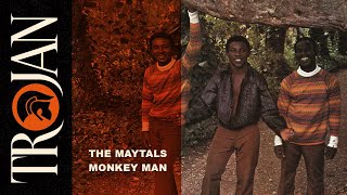 The Maytals Monkey Man official audio [upl. by Nananne994]