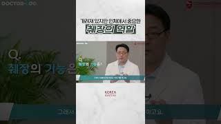 췌장의 기능 2가지 [upl. by Esilehs]