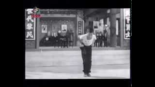 Choy Li Fut quotMon Gee Kuenquot 蔡李佛 萬字拳 [upl. by Natsyrt]