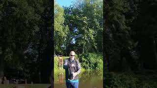 Nice Muddy River Spinnerbait Bass fishing bassfishing fishingvideo [upl. by Celik188]