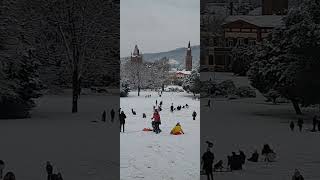 Rodeln im Weinheimer Schloßpark [upl. by Tab]