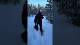 Conquering the Snow Exhausting Struggles Even With Snowshoes travel photography shortvideo art [upl. by Llamaj775]