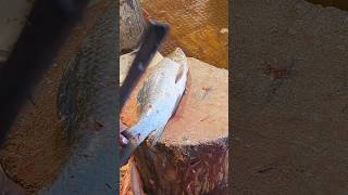 Delicious Big Kali Baush Fish Cutting Skills by Professional Cutting Live part1 😱 shorts [upl. by Nodnar]