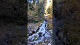 autumn2024fallhikinglarchestravelalbertakananaskiswateefallcanadaarethusacirquealbertapark [upl. by Laurence191]