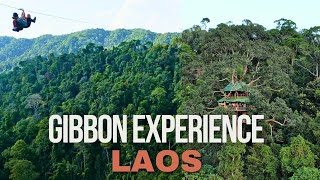 GIBBON EXPERIENCE LAOS  4K [upl. by Lede]