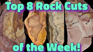 Top 8 Rock Cuts of 2nd Day with Saw Rhyolite Picture Jasper Lahontan Jasper Wonderstone 🤩 [upl. by Aytak521]