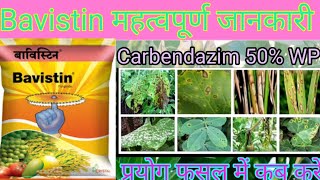 Carbendazim  Bavistin  bavistin fungicide uses  bavistin fungicide  carbendazim 50 wp uses [upl. by Ruphina]