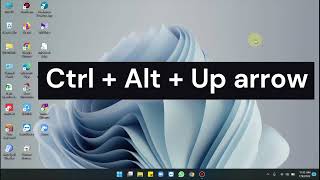 How to rotate screen in Windows 11  3 Best ways [upl. by Enaffit]