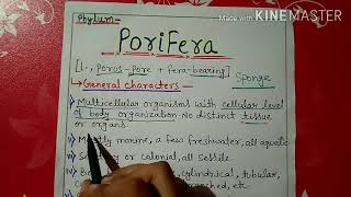 Phylum porifera characters and classification in Hindi [upl. by Peckham]