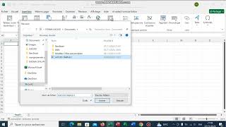 comment insérer un document word dans lExcel [upl. by Assedo]