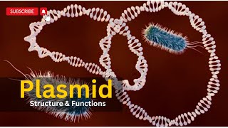 Plasmid EXPLAINED Plasmids in bacteria Structure Function and Applications microbiology [upl. by Ahslek]