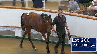 2000000gns Frankel Colt Highest Priced Yearling in Europe in 2023 [upl. by Elleiram]