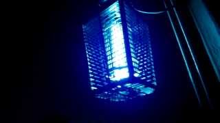 Flowtron  Very effective bug zapper [upl. by Osei]