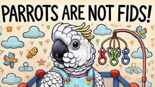 Understanding Parrots  Dispelling Common Misconceptions Parrots arent FIDS [upl. by Ecyob83]