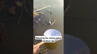 Mancing ikan cuma pakai serokan shorts mancingviral kepitingrebus [upl. by Iahc246]