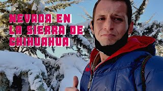 Nevada En La Sierra De Chihuahua 2020 [upl. by Enial]