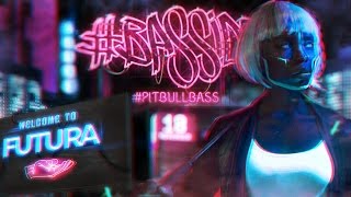 Basside Futura 2016 pitbullbass [upl. by Anaya]