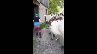 HSP Horseback riding day 4 video 5 Me walking Miley to the barn [upl. by Melcher]