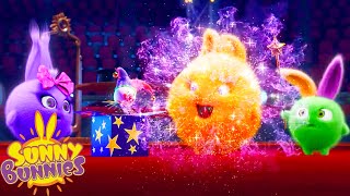 SUNNY BUNNIES  Colourful Magic  Season 1  Cartoons for Children [upl. by Shishko]