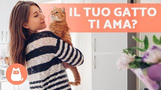 10 SEGNALI che il tuo GATTO ti AMA 🐱❤️ [upl. by Nashbar794]