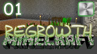 Minecraft Regrowth Modpack  Regrowth Lets Play  Ep 1  Getting Started in Regrowth [upl. by Karita]