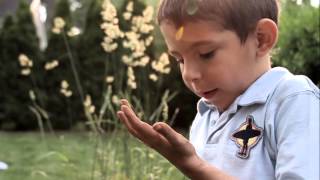 Lewis learns about Handwashing with Lifebuoy [upl. by Ahsiki]