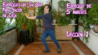 Ejercicios de Tai Chi Para Hacer en Casa [upl. by Valerye]