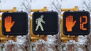 4 Pedestrian Countdown Signals Regular Visors amp quotZcratequot Visors [upl. by Jules]