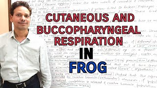 Cutaneous and Buccopharyngeal Respiration in FrogRana Tigrina  For IASNEETGATENET and BSc [upl. by Eeraj]