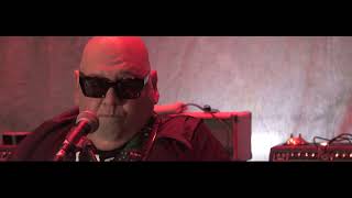 Popa Chubby  New Way Of Walking [upl. by Leksehc]