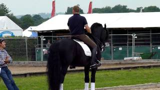 Dressage at Hickstead 2011 [upl. by Irahcaz580]