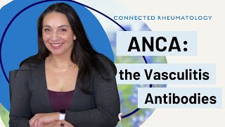 ANCA The Vasculitis Antibodies [upl. by Ahsirtak]