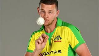 Fact About Australian PacerCricketer Josh Hazzlewood [upl. by Ynaffad329]