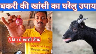 बकरी की खांसी का घरेलू उपाय  bakri ki khansi ka gharelu ilaaj  bakri ki khansi ka desi ilaj [upl. by Soble599]