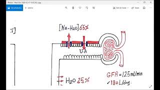 Renal module L3  Thiazide and Thiazide like diuretics [upl. by Maxentia]