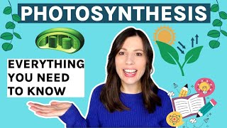 Photosynthesis AQA Alevel Everything you need to know [upl. by Cramer]