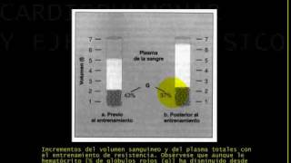 Fisiologia CARDIOPULMONAR Y EJERCICIO 13 [upl. by Nedmac]