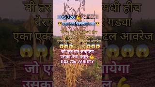 kds 726 Phule Sangam variety Shorts ytshorts youtubeshorts farming viralvideo trending sorts [upl. by Garik598]