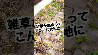 【庭お掃除術】一瞬で解決！砂利に雑草が絡まって面倒くさい時の対処法 shorts ガーデニング [upl. by Enymzaj]